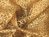 Sheer Leopard