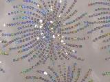 Organza Beaded Silver