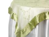 Embroider Sheer Sage