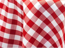 Picnic Check Red