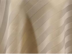 Striped Ivory