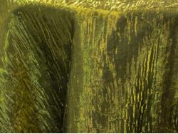 Iridescent Crush Moss 