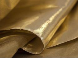 Gold Lame Runner