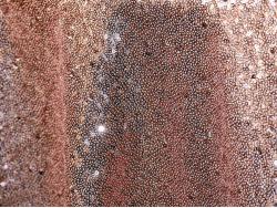 Glimmer Sequin Blush Runner