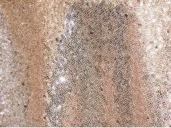Glimmer Sequin Nude Runner