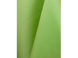 Satin Apple Green Runner